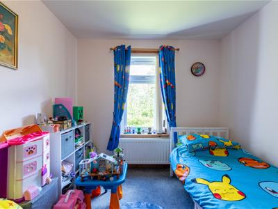 Picture 12